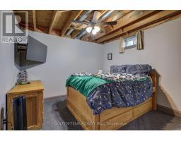 56729 EDEN LINE - 29