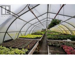 3862 TRAFALGAR STREET - 14