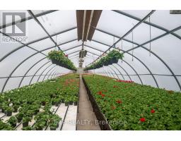3862 TRAFALGAR STREET - 16