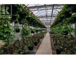 3862 TRAFALGAR STREET - 17