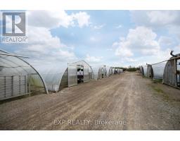 3862 TRAFALGAR STREET - 9
