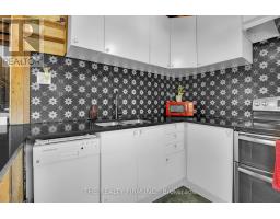 132 BRISCOE STREET E - 25