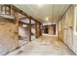 13938 MEDWAY ROAD - 26