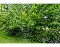 3 - 301 CARLOW ROAD - 14