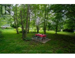 22971 HAGERTY ROAD - 8