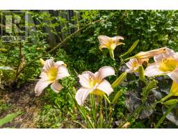 107 CECILIA AVENUE - 46