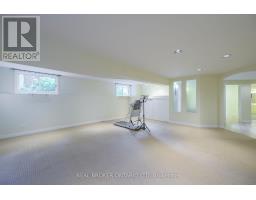 135 CARRIAGE HILL DRIVE - 32