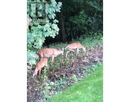 6 - 398 OLD RIVERSIDE DRIVE - 34