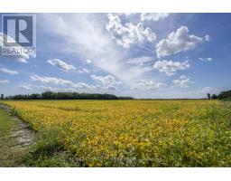 26523 POPLAR ROAD - 10
