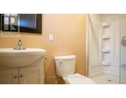 371 RIDGEVIEW COURT - 19
