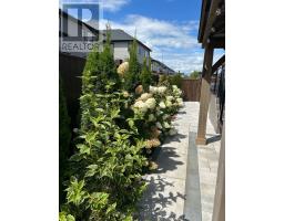 1795 BRAYFORD AVENUE - 45