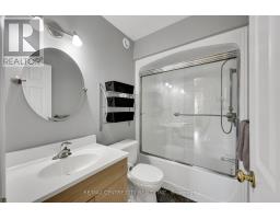 25181 GRAY LINE - 24