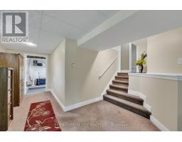 25181 GRAY LINE - 31