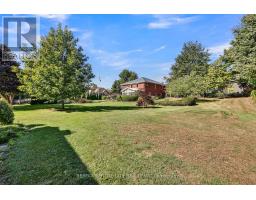 25181 GRAY LINE - 37