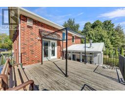 25181 GRAY LINE - 39