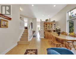 25181 GRAY LINE - 8