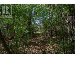 514 UPPER QUEEN STREET - 32