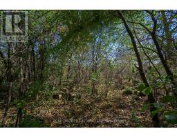 514 UPPER QUEEN STREET - 33