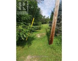 237 FREDERICK STREET - 12