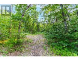 10142 PINERY BLUFFS ROAD - 11