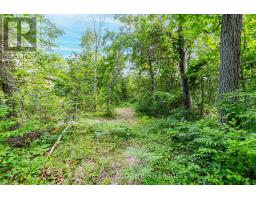 10142 PINERY BLUFFS ROAD - 13