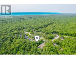 10142 PINERY BLUFFS ROAD - 9