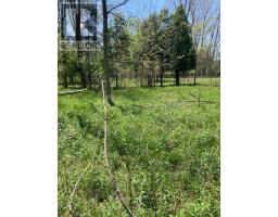 79 Young Street, MLS X12185289