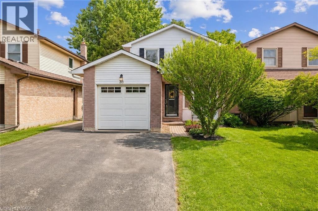 36 BRAEHEID Avenue, Waterdown