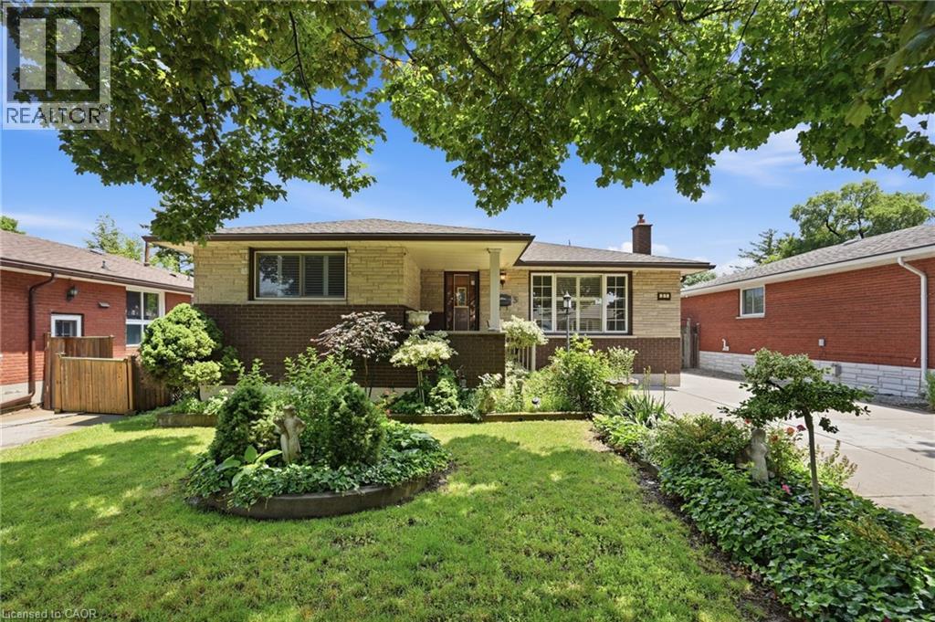 31 SYCAMORE Street, Hamilton