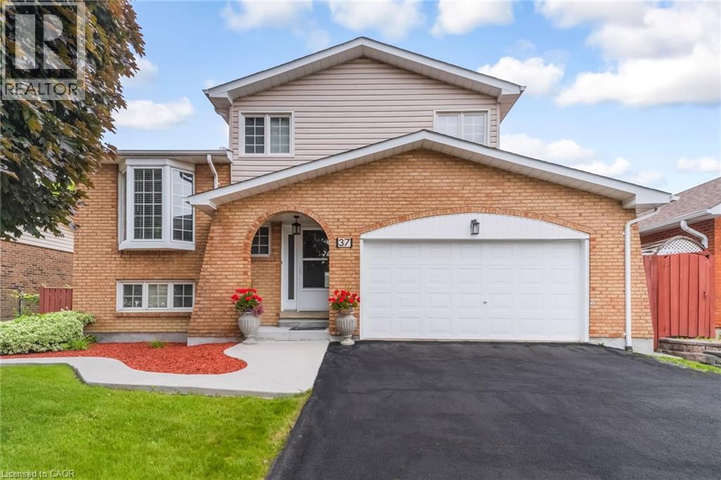 37 BLACKTHORN Lane, Brampton