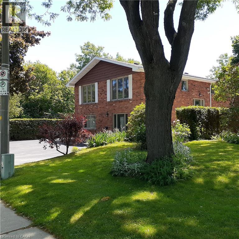 3 SAN PEDRO Drive, Hamilton