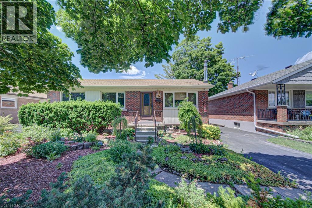 56 FERRARA Street, Hamilton