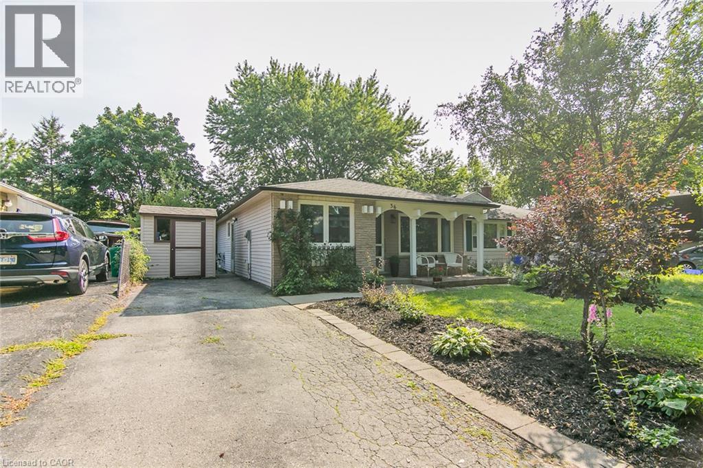 36 AMOS Avenue, Waterloo