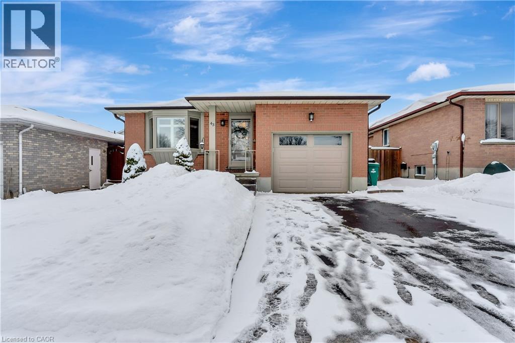 43 SUMMERHILL Crescent, Kitchener
