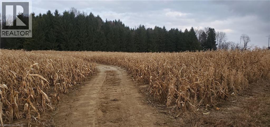 1665 1ST CONCESSION ROAD STR Road, Delhi