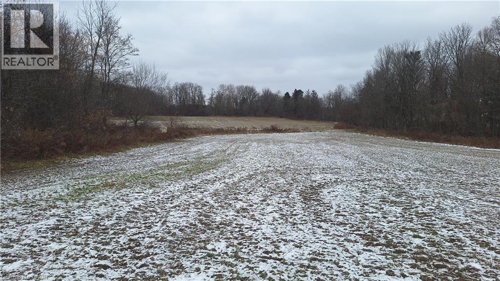 0 PLANK Road, Vienna