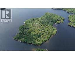 Blade Gold Lake Island, MLS 40854354