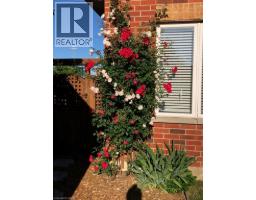 82 VANSICKLE Road - 44