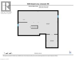 5239 AMENT Line - 28
