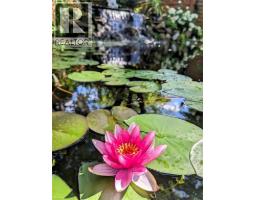 4299 LAKESHORE Road - 44