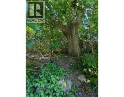 435A MIDWOOD Crescent - 32