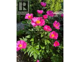 411 NASSAU Street - 35