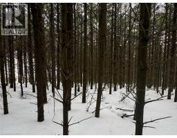 0 MOUNTSBERG Road - 12