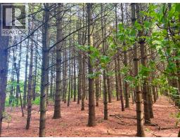 0 MOUNTSBERG Road - 3