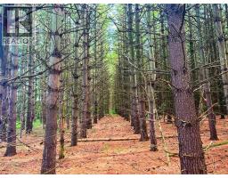 0 MOUNTSBERG Road - 4