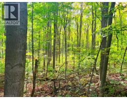 0 MOUNTSBERG Road - 5