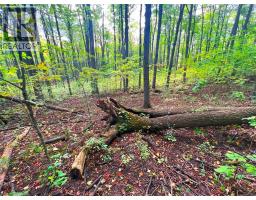 0 MOUNTSBERG Road - 7