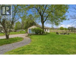 31 ALGONQUIN Avenue - 39
