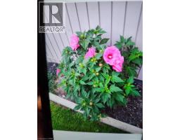 102 BYELAND Drive - 38