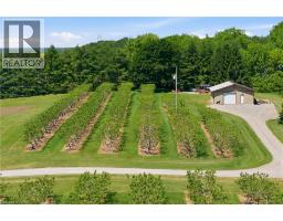461 TICE Road - 42